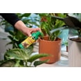 thumbnail image 3 of Miracle-Gro Indoor Plant Food 1-1-1   236mL, 3 of 6