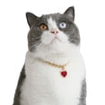 thumbnail image 2 of Dsseng Excellent Collier pour Animaux Ajustable pour Tir Résistant à la Corrosion, 2 of 7