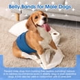 thumbnail image 4 of Kuoser Reusable Dog Diaper, Soft Belly Band with Abdominal Pocket for Male and Female Dogs, Washable Period Diaper for dog, 1 Pack, Blue, M, 4 of 8