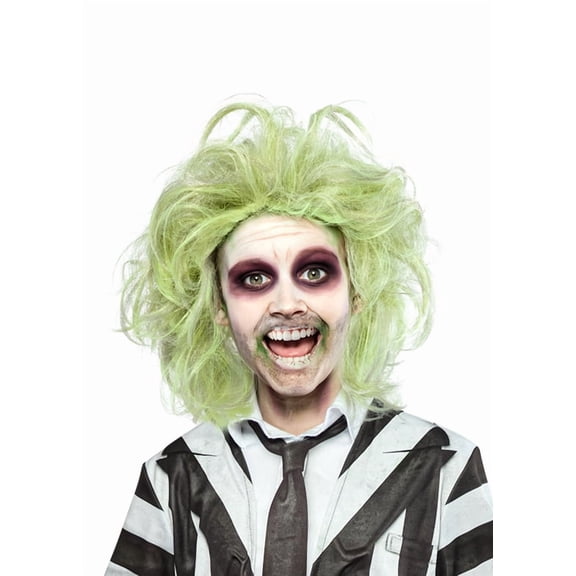 Beetlejuice Beetlejuice Wig for Kids by Rubies, Boys One Size