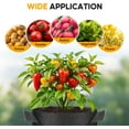 thumbnail image 6 of 24-Pack 5 Gallon Nonwoven Grow Bags, Aeration Fabric Pots with Handles, Suitable for Garden Fruits, Vegetables and Flowers, Black, 6 of 11