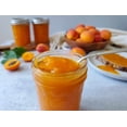 thumbnail image 5 of Segmen No Sugar Added Apricot Jam 9.5oz, 5 of 5