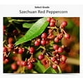 thumbnail image 3 of NPG Premium Szechuan Red Peppercorns Powder 2.12oz, Mouth-numbing Red Sichuan Peppers for Kung Pao Chicken, Mapo Tofu, and Chinese Cuisine, 3 of 6