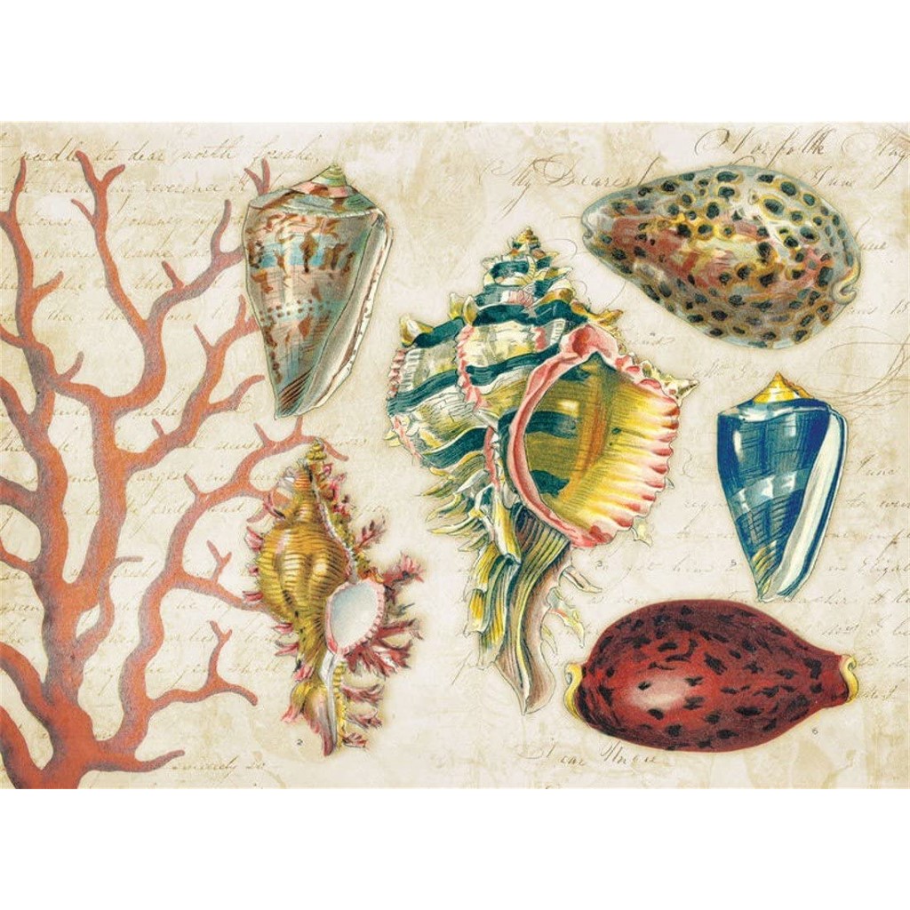 百貨店 4 Cala Home Premium Hardboard Placemats Table Mats Purple Orchids