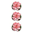 thumbnail image 3 of QualitChoice Artificial Lotus Replacement Simulation Outdoor Garden Park Pond Pool Photography Fake Water Flower Decor Light Pink 3PCS, 3 of 6