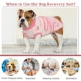 thumbnail image 6 of DENTRUN Dog Surgery Recovery Suit, Dog Onesie After Surgery Breathable Abdominal Wound Skin Diseases Protector, Cone Collar Alternative, Anti Licking Professional Surgical Recovery Costume, 6 of 7