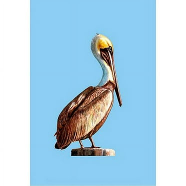 Betsy Drake  Pelican 28-inch x 40-inch Flag