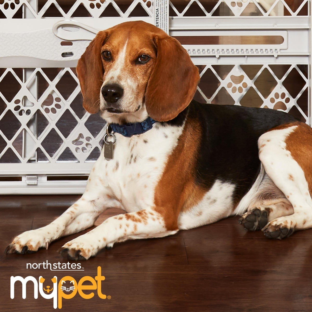 North States MyPet Extra Tall and Wide Wire Mesh Wooden Petgate, Expands to 48" Wide