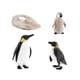 thumbnail image 2 of Figuras de animales Juguete Ciencia Animales de juguete Modelo de de pingüino para pequeños Materiales de Estilo B SM SunniMix Juego de crecimiento de animales, 2 of 8
