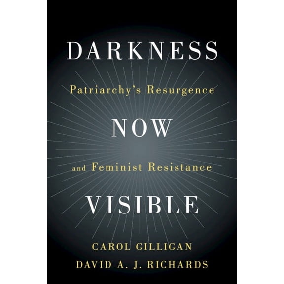 Darkness Now Visible, (Paperback)