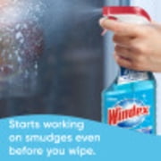 Windex Glass, Window, and Mirror Cleaner, Original Blue, Spray Bottle, 23 fl oz