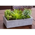 thumbnail image 6 of Nearly Natural 6.5" Succulent Garden Artificial Plant with Concrete Planter, Green, 6 of 16