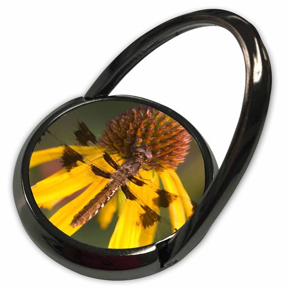 3dRose, Common Whitetail on Yellow Coneflower in garden Marion Co. IL, Phone Ring