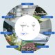 thumbnail image 4 of Tuya WIFI ZigBee Tubería inteligente Apagado automático Gases de agua yeacher Controlador de válvula, 4 of 8