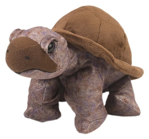 tortoise cuddly toy