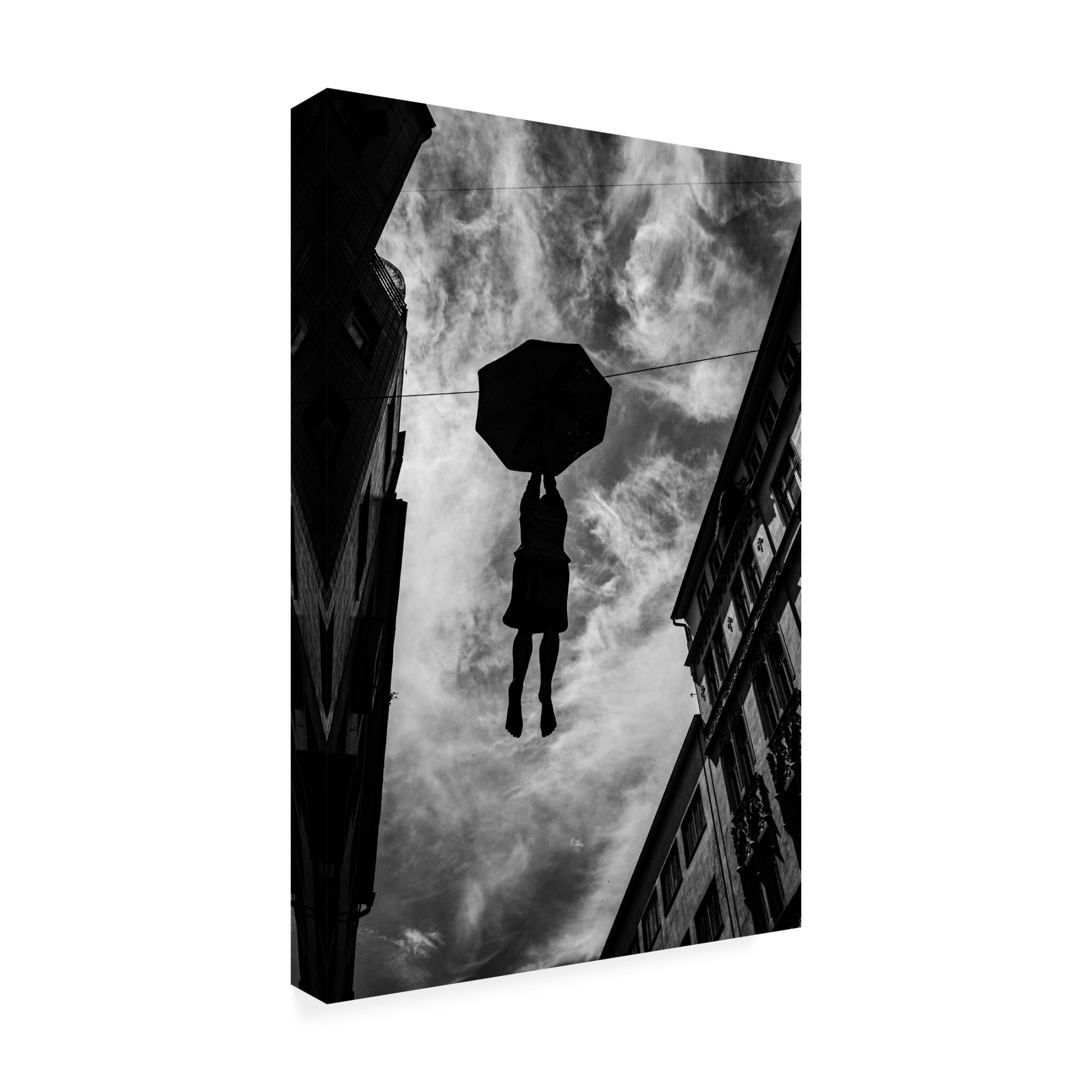 Trademark Fine Art Wille Roos Hanging In There Canvas Wall Art