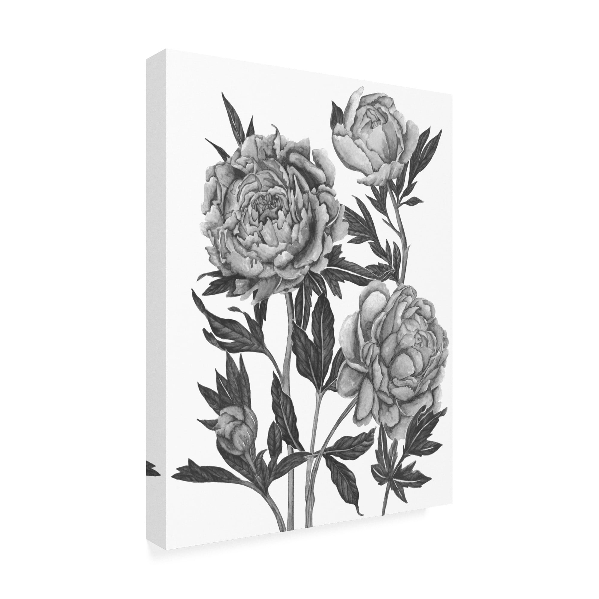 Trademark Fine Art 'Flowers in Grey V' Canvas Art by Melissa Wang