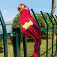 thumbnail image 3 of Home Decoration Artificial Bird, Exquisite Workmanship Simulation Bird Decor, For Family Office, 3 of 8
