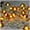 Crab, variant on Pink Cherry Blossom Flower String Lights for Girls Kids Bedroom Decorations,10ft 30 LED Fairy Night Light Indoor Wedding Birthday Party Wall Decor Battery Operated