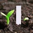 thumbnail image 2 of Khall Pot Marker, Seed Label Marker,100 Pcs Plastic Plant Seed Labels Pot Marker Nursery Garden Stake Tags, 2 of 8