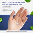 thumbnail image 6 of (2 pack) EZ Melts Dissolvable Zinc Supplement 30 mg, Sugar-Free, 2-Month Supply - 2 Pack, 6 of 9