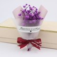 thumbnail image 5 of A Bunch Of Mini Natural Dried Flower Baby'S Breath Fresh Preserved Bouquet Decor, 5 of 7