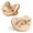Blush, variant on Chicco PhysioForma® Luxe One-Piece Silicone Pacifier, 0-6 Months, 2pk  - Mint, New