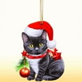 thumbnail image 3 of Ranliy Christmas Cat Ornament, Xmas Decor Tree Hanging Cat Acrylic Holiday Decoration, Cute Cat with Xmas Hat Ornaments for Christmas Tree Outdoor Hanging, 3Inch, 3 of 3