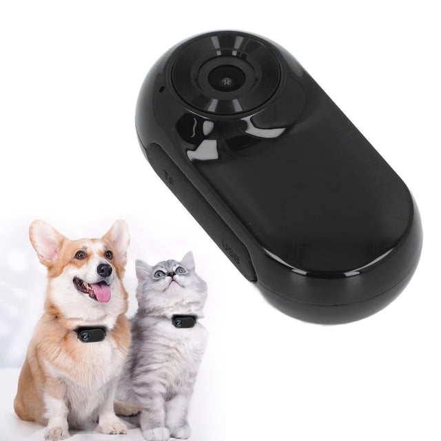 Cámara De Cuello Gato, Dispositivo De Grabación De Vídeo Acción Magnética 120 Gran Angular Con Clip De Espalda Para Vlogging Deportes Al Aire Libre
