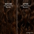thumbnail image 6 of (5 pack) John Frieda Frizz Ease Miraculous Recovery Shampoo for Frizzy Hair, Anti-Frizz Shampoo, 10.1 fl oz, 6 of 13