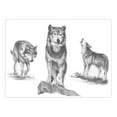 thumbnail image 2 of Royal & Langnickel Sketching Made Easy Large Kit Wolves, 2 of 2