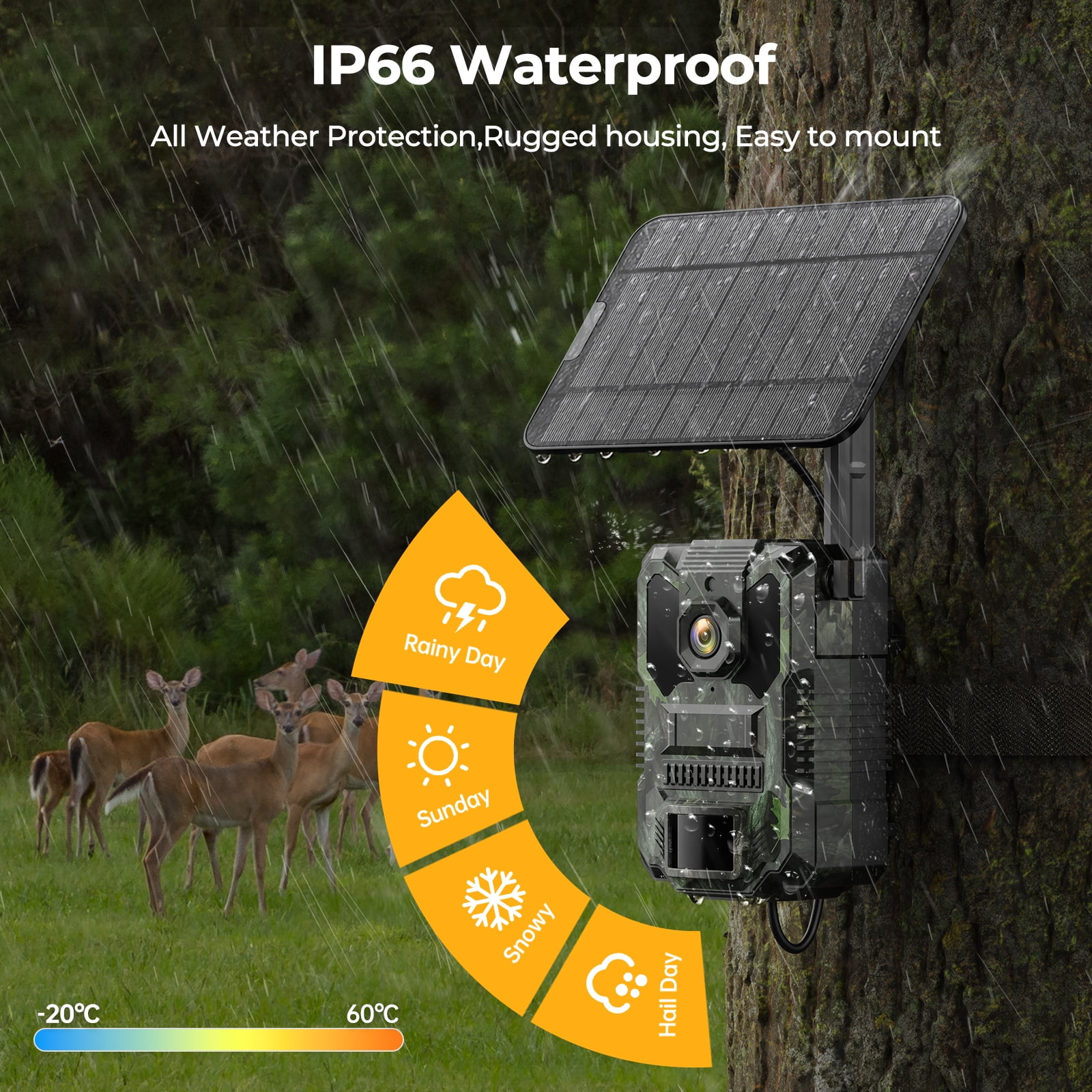 CAMPARK Trail Camera 4G Cellular Solar, 2.5K Hunting Game Camera Built-in SIM Card 4 Area in 1 Screen 940nm No Glow Night Vision IP66 Waterproof for Wildlife Monitoring No WiFi Needed