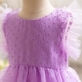 thumbnail image 4 of Diufon Birthday Party Princess Dress for Girls Elegant Lace Mesh Wedding Cute Dresses Infant Baby Ruffled Sleeve Dresses, 4 of 5