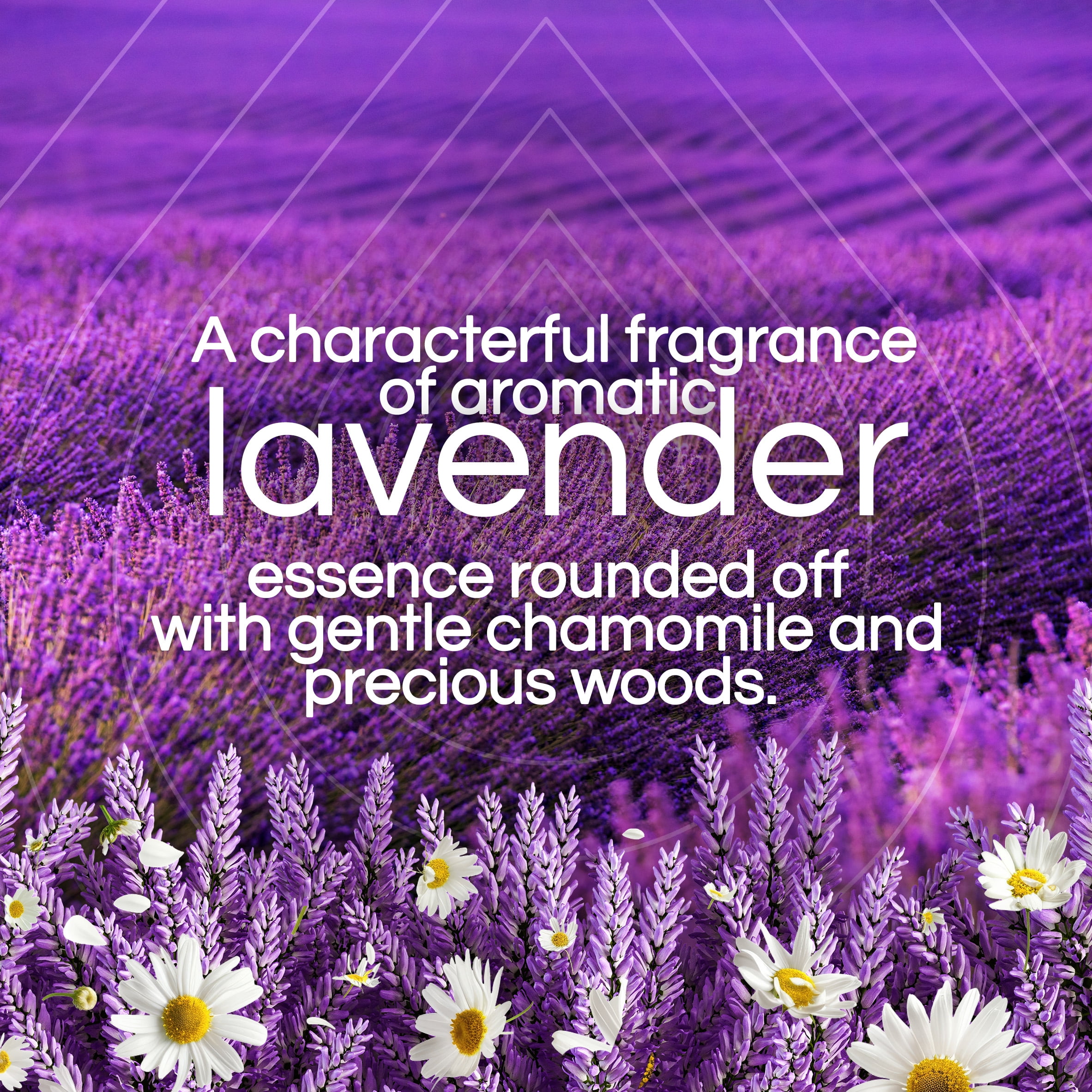 Air Wick Plug In Scented Oil Refill Lavender & Chamomile Air Freshener, 2 Count