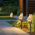thumbnail image 5 of Cheapark Solar Powered Resin Owl Light Waterproof Outdoor Ground Insert Lawn Lamp Garden Patio Yard Lawn Pathway Landscape Lighting Decor, 5 of 6