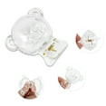 thumbnail image 3 of Unique Bargains 2 Pcs Lightweight Bears-Shaped Toothbrush Covers for Travel Plastic Brown, 3 of 5