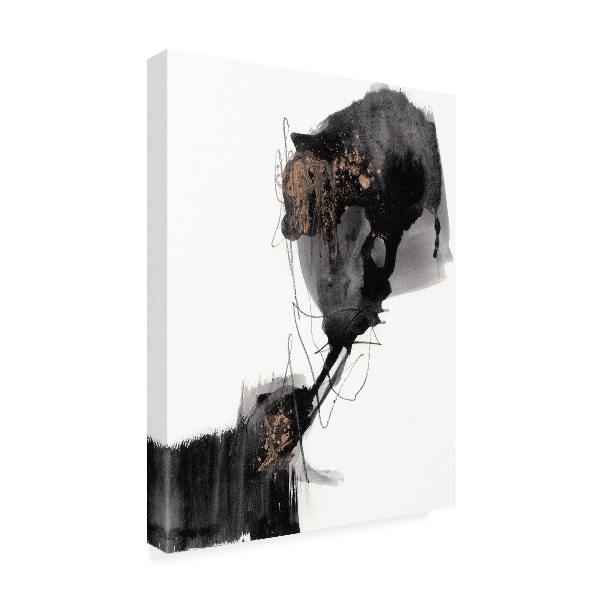 Trademark Fine Art 'Ebony Step I' Canvas Art by Jennifer Goldberger