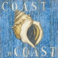 thumbnail image 2 of Paul Brent 15x15 Gallery Wrapped Canvas Wall Art Titled - Coastal USA Conch, 2 of 4