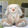 thumbnail image 4 of Hweilai Lapin en Peluche (9 Pouces), 4 of 5