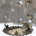 thumbnail image 5 of sruoe Bird Feeder, Hanging Bird Feeder Tray, Bird Feeders Outdoor, Cardinal Bird Feeder, Hopper Feeder, Small Large Bowl Wild Bird Feeders for Garden Decor, Iron, 5 of 7