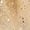 Gold-E, variant on XXWXYD Girls Layered Tu𝗍u Skirt Elastic High Waist Tulle Ballet Dress Mesh Flow𝗒 Evening Prom Gowns Toddler Princess Par𝗍y Costum𝖾 A Line Fluff𝗒 Pettiskirt