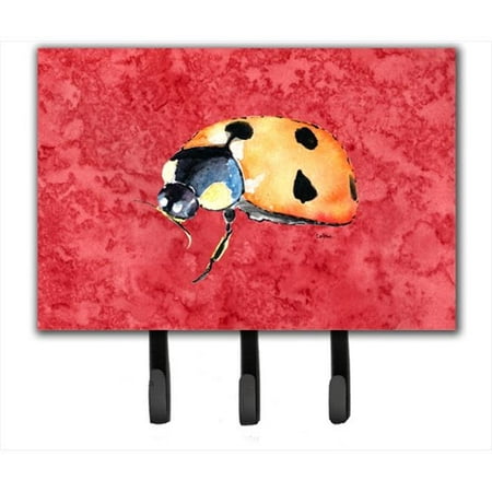 

6 x 9 In. Lady Bug on Red Leash or Key Holder