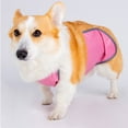 thumbnail image 6 of Washable Dog Belly Cover Permeable Pet Diaper Wrap Durability Dog Belly Wrap for Media Sized Dogs, 6 of 17