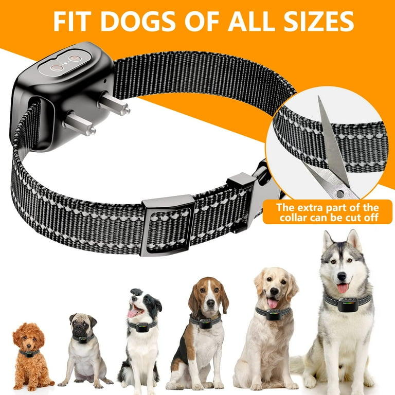 Bark collar for extra large dogs online
