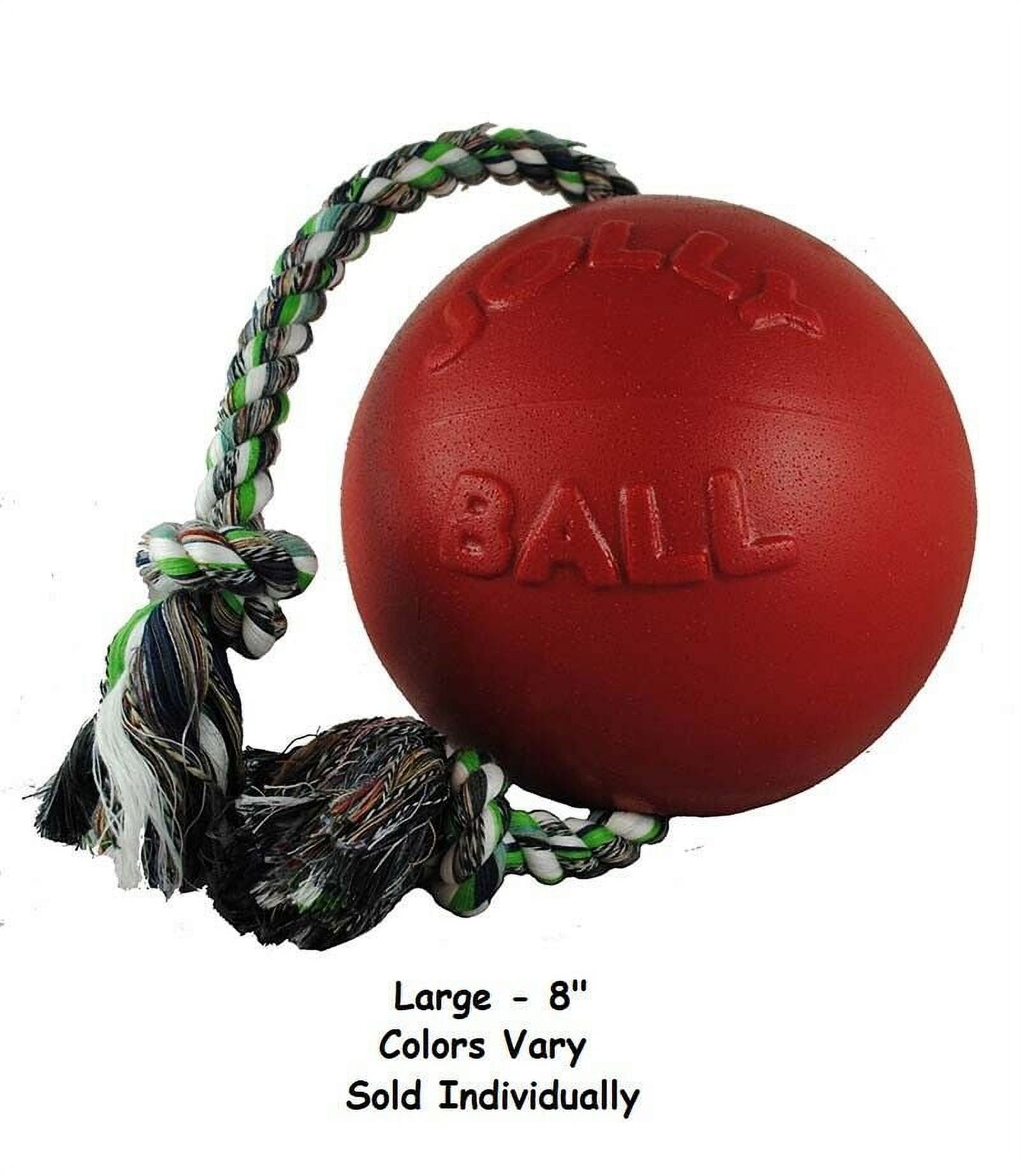 Jolly Pets Romp-n-Roll 8 inch Blue Rubber Ball with Rope for Dogs
