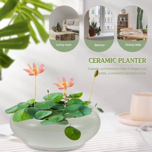 Worgeous Small Outdoor Ceramic Flower Pot for Garden Plants, Decorative Potted Planter for Flowers and
