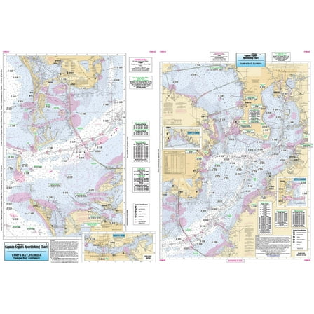 Inshore Tampa Bay, FL