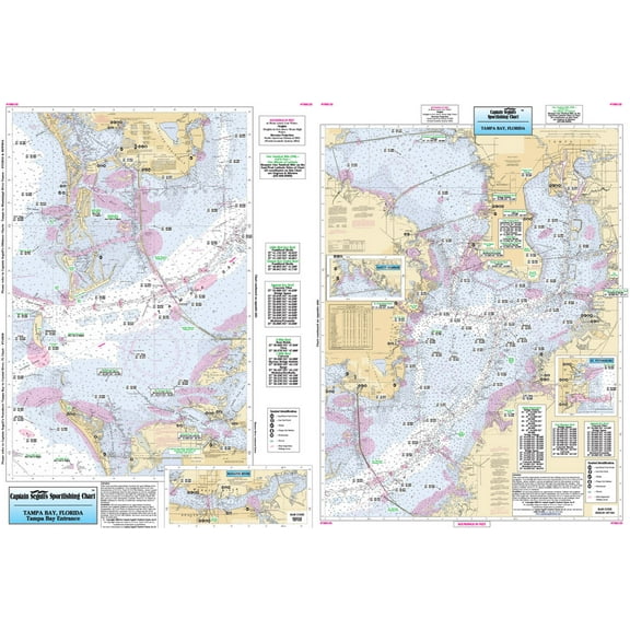 Inshore Tampa Bay, FL