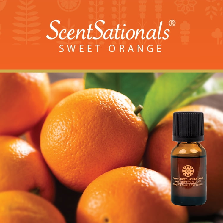 ScentSationals 100% Essential Oil - Sweet Orange, 15 mL (0.5 fl oz)