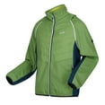 thumbnail image 3 of Regatta Mens Steren II Softshell Hybrid Jacket, 3 of 5